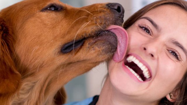 Non trattare il tuo cane come se fosse un bambino