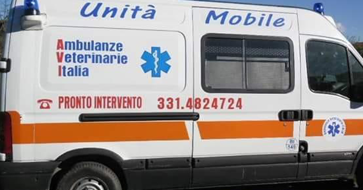 Attivato il servizio per l’ambulanza veterinaria 24 ore su 24