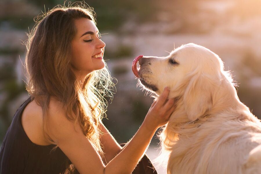 coccole e carezze al cane