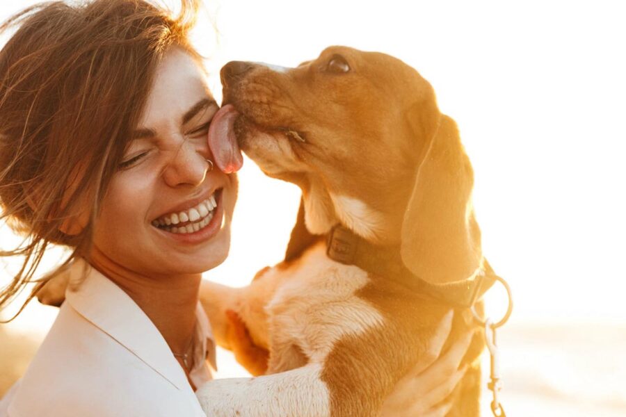 cane che lecca faccia di donna