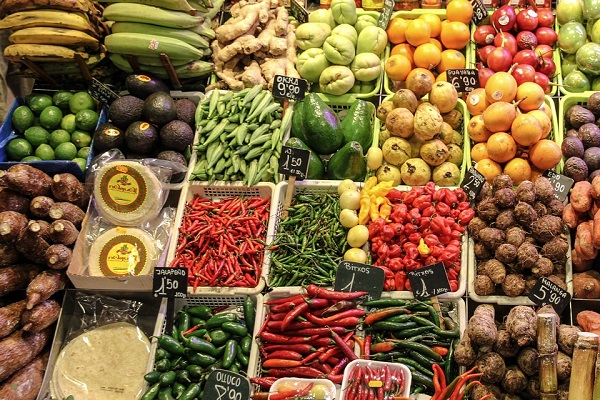 un cibo preferito dal cane è la verdura