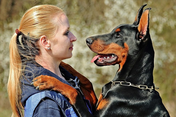 Come far capire ai cani che gli vogliamo bene