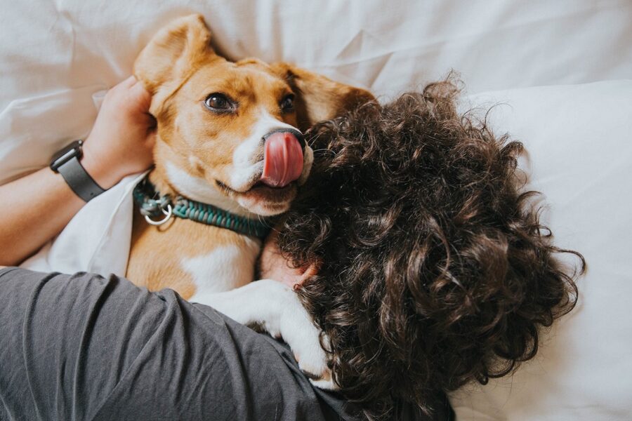 abbraccio fra cane e proprietaria