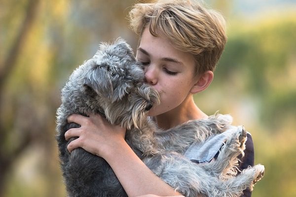 cane in braccio a ragazzo