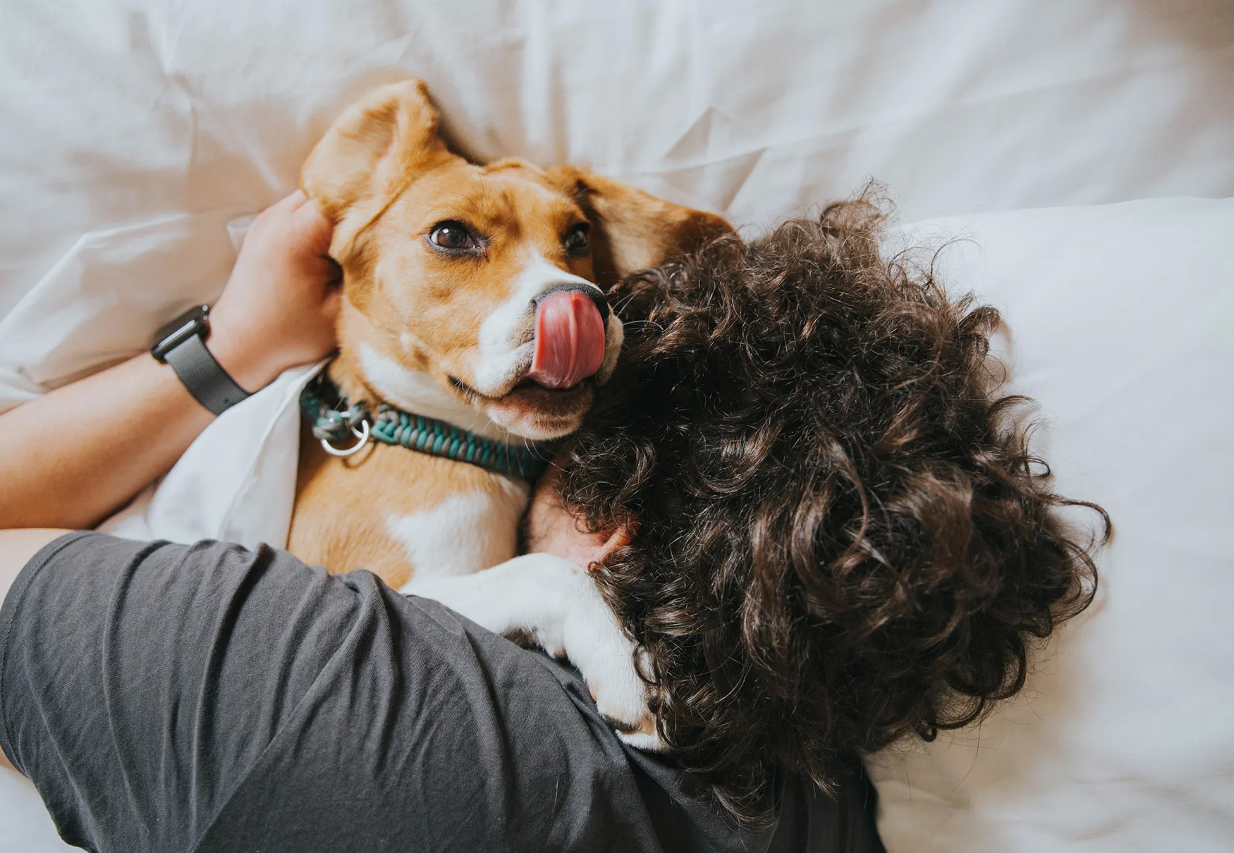 cane abbracciato da ragazzo sul letto