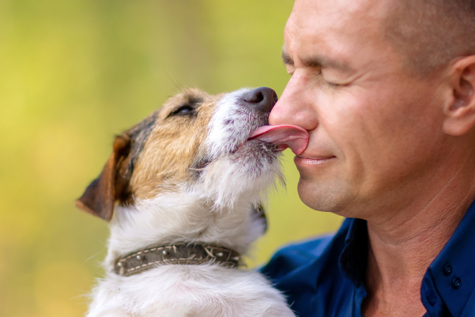 cane lecca faccia di uomo