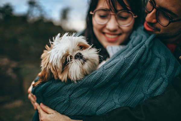 Perché il cane migliora la vita