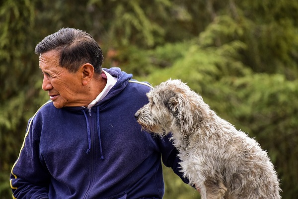 Perché il cane migliora la vita