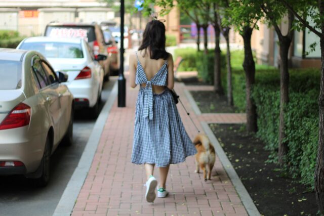 Portare a spasso il cane: come farlo, quante volte, consigli ed errori