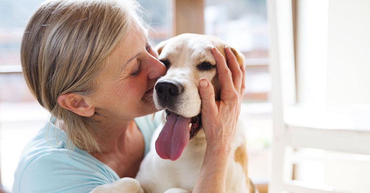 coccole al cane