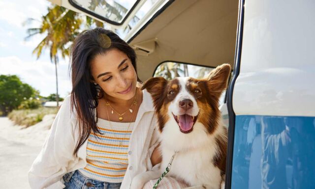 Viaggiare con il cane: tutti i consigli utili, i pericoli da evitare e le cose da portare