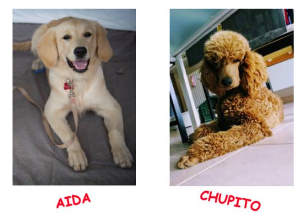 Aida e Chupito