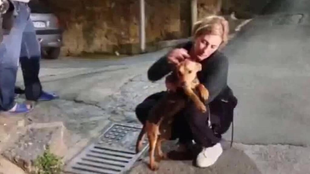 Cagnolina abbracciata al padrone