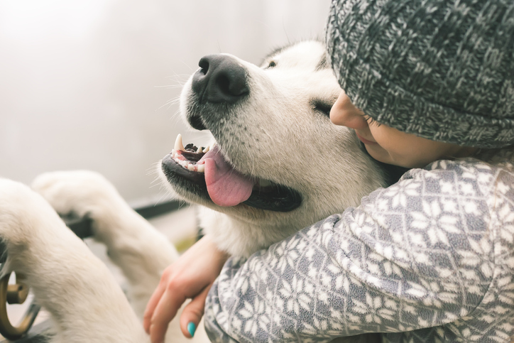 Cane abbracciato da una ragazza