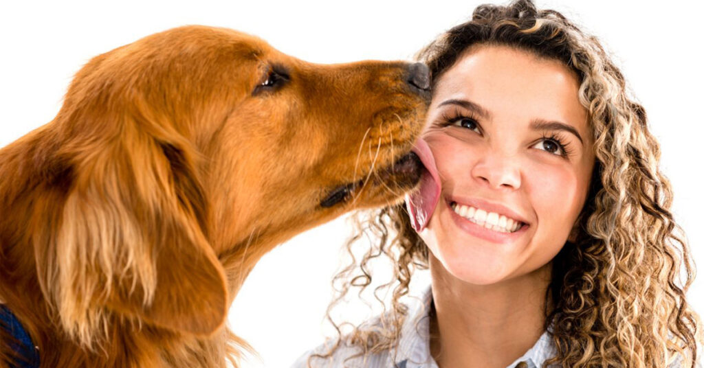 Cane che lecca una ragazza