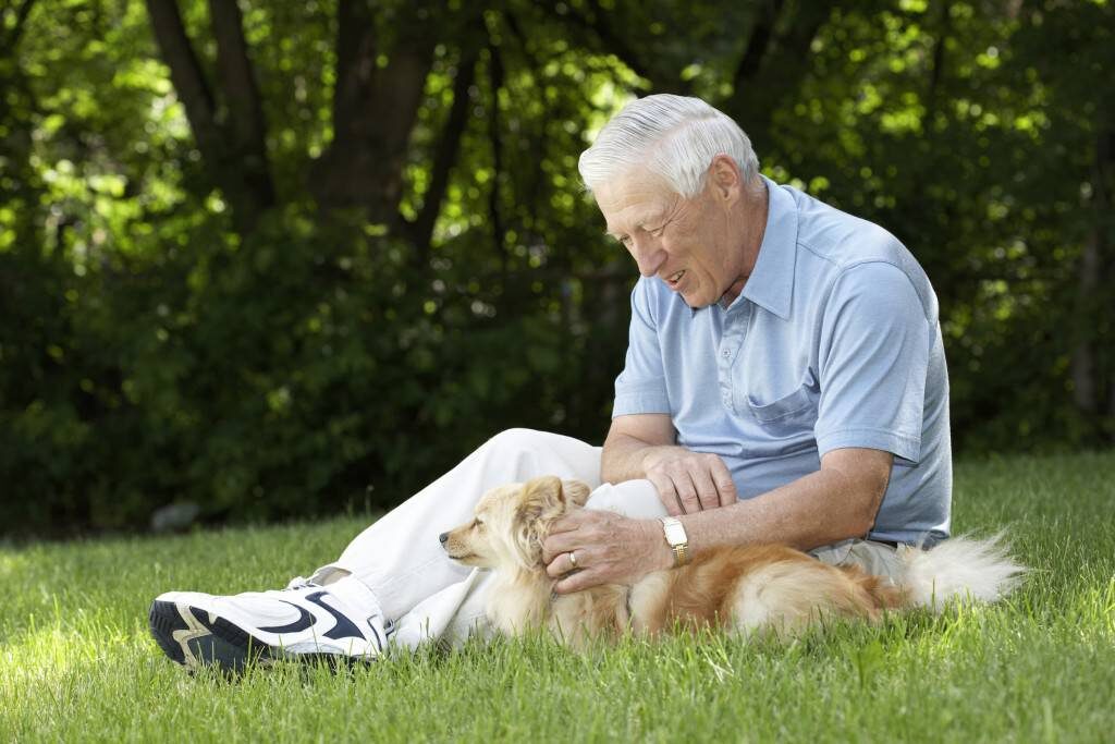 Cane con il suo padrone anziano