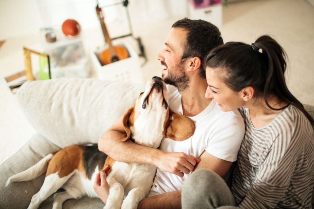 Cane felice con i suoi padroni