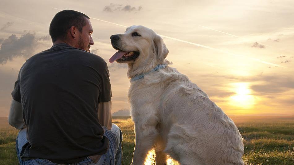 Cane felice insieme al padrone