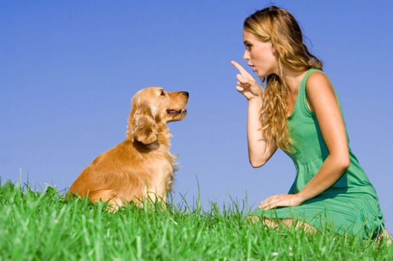 Cane insieme alla sua padrone in un prato