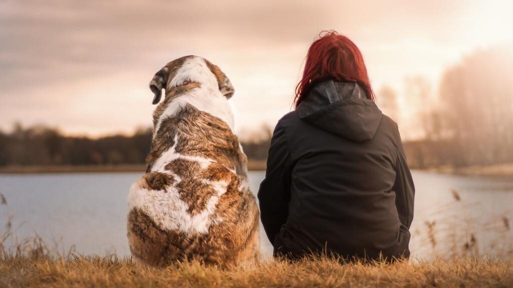 Cane seduto accanto alla padrona