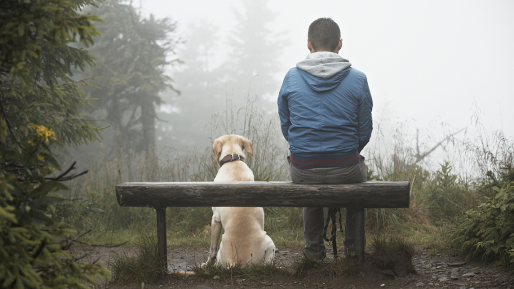 Cane seduto con il proprio padrone