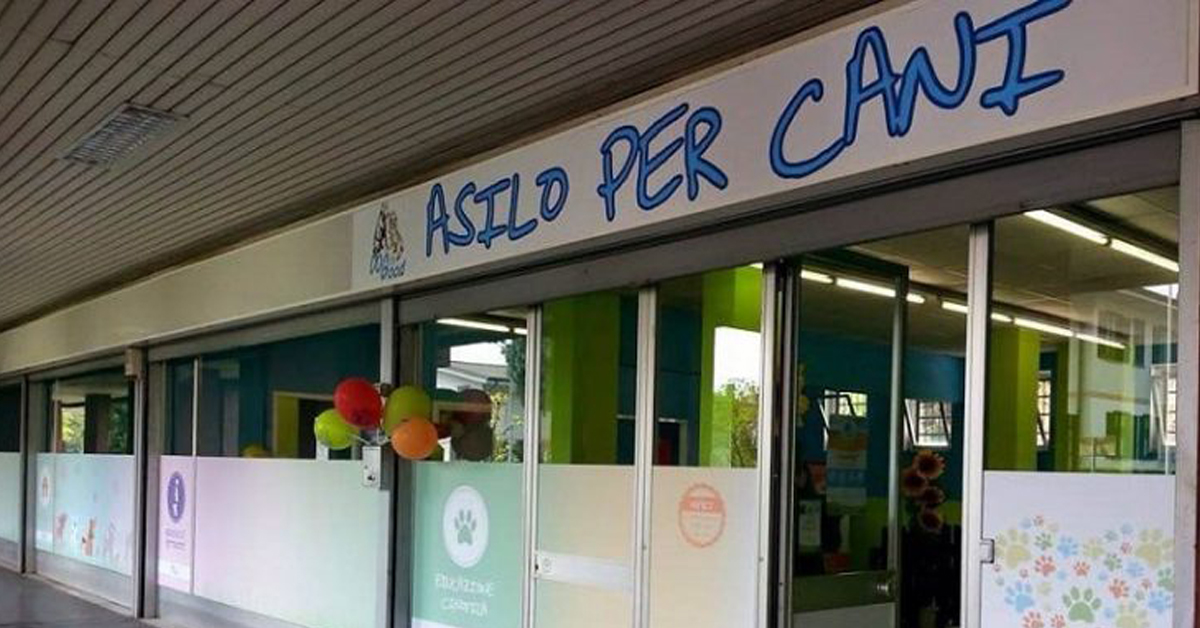 Cani all’asilo: i nostri amici a quattro zampe tra i banchi di scuola