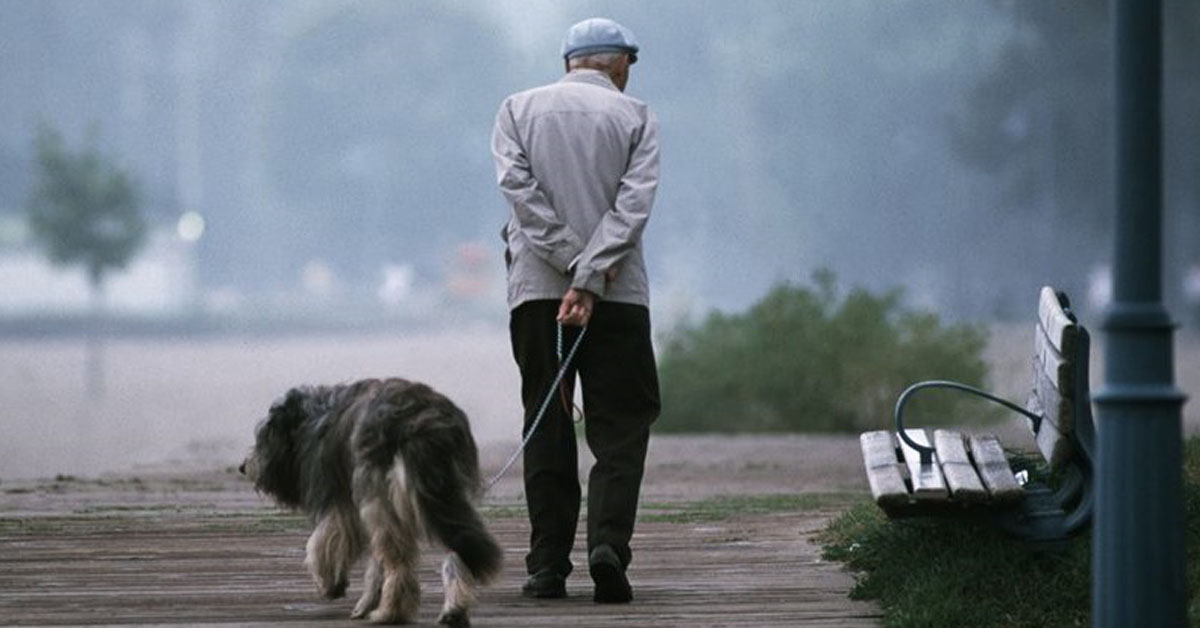 Cani anziani: il progetto della loro secondo vita con i pensionati