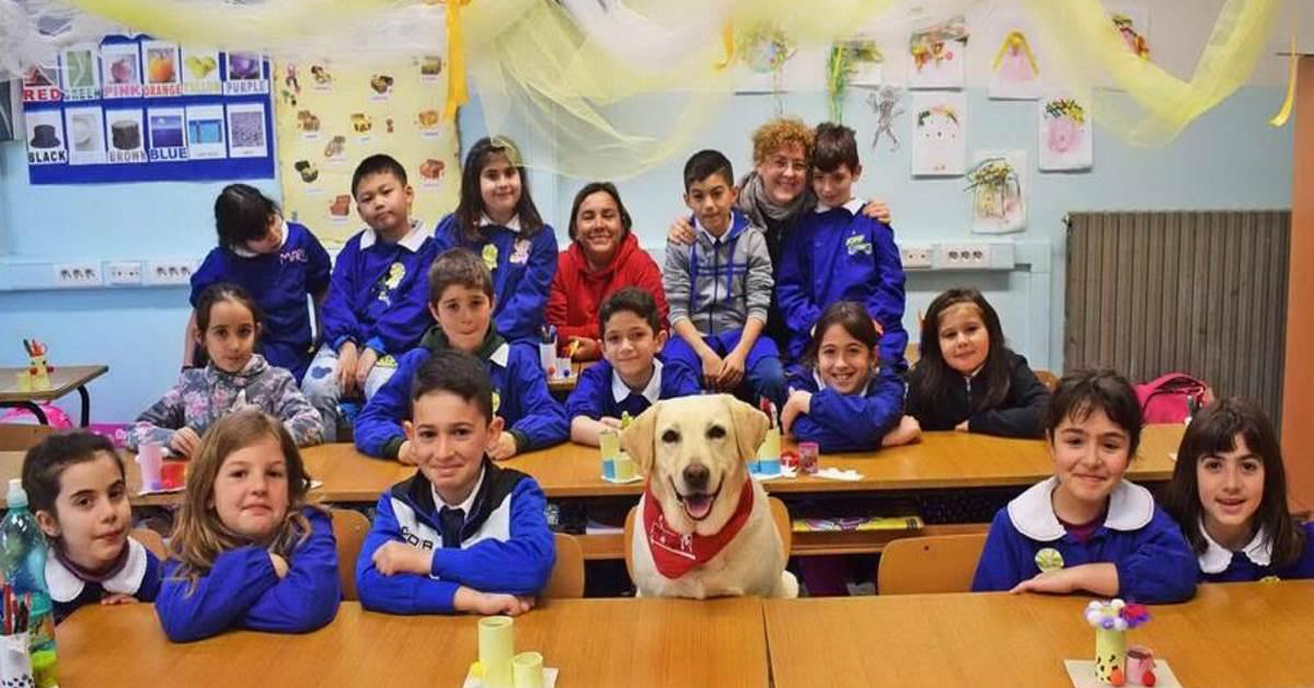 Cani motivatori: aiuteranno i ragazzi tra i banchi di scuola