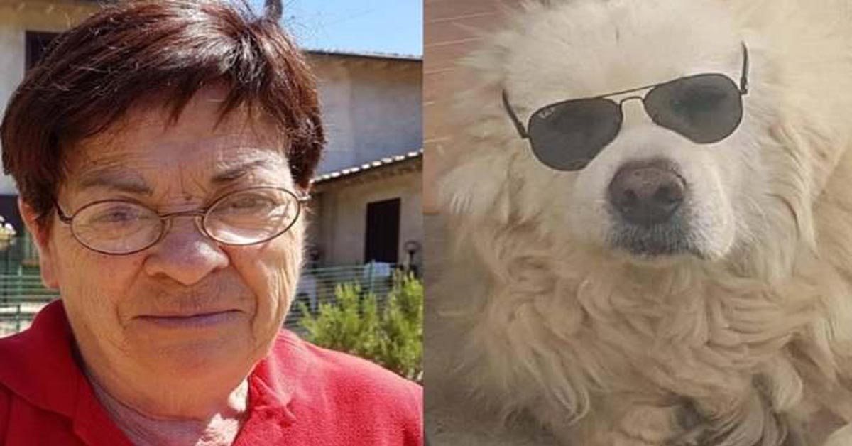 Fofò, il cane che non è sopravvissuto al dolore della perdita della padrona