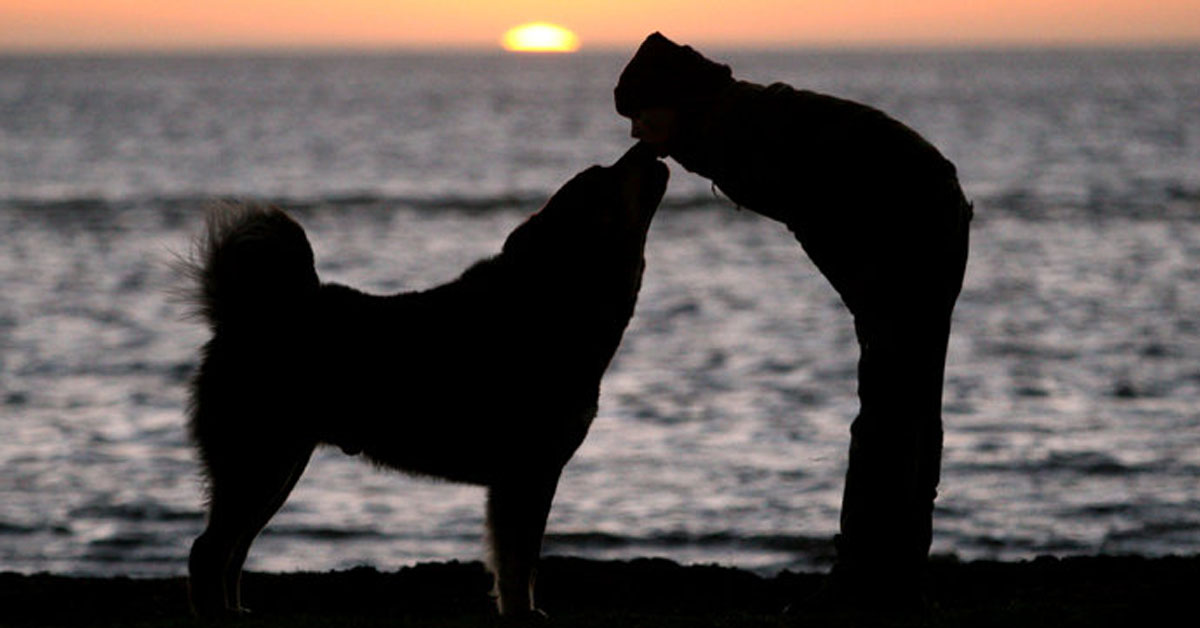 I cani amano l’uomo più dei loro simili: la conferma arriva dalla scienza