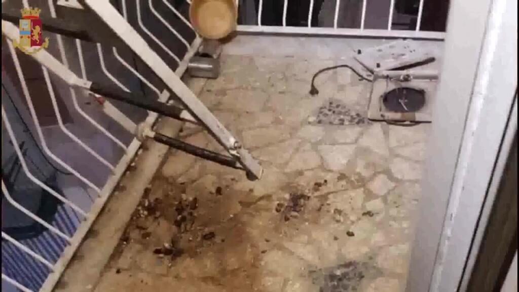 Il balcone in cui il cane era stato abbandonato