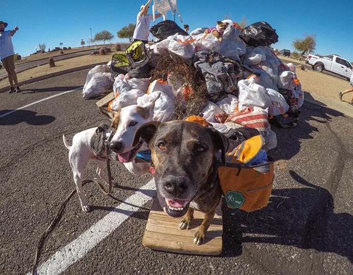 Il cane che raccoglie la spazzatura