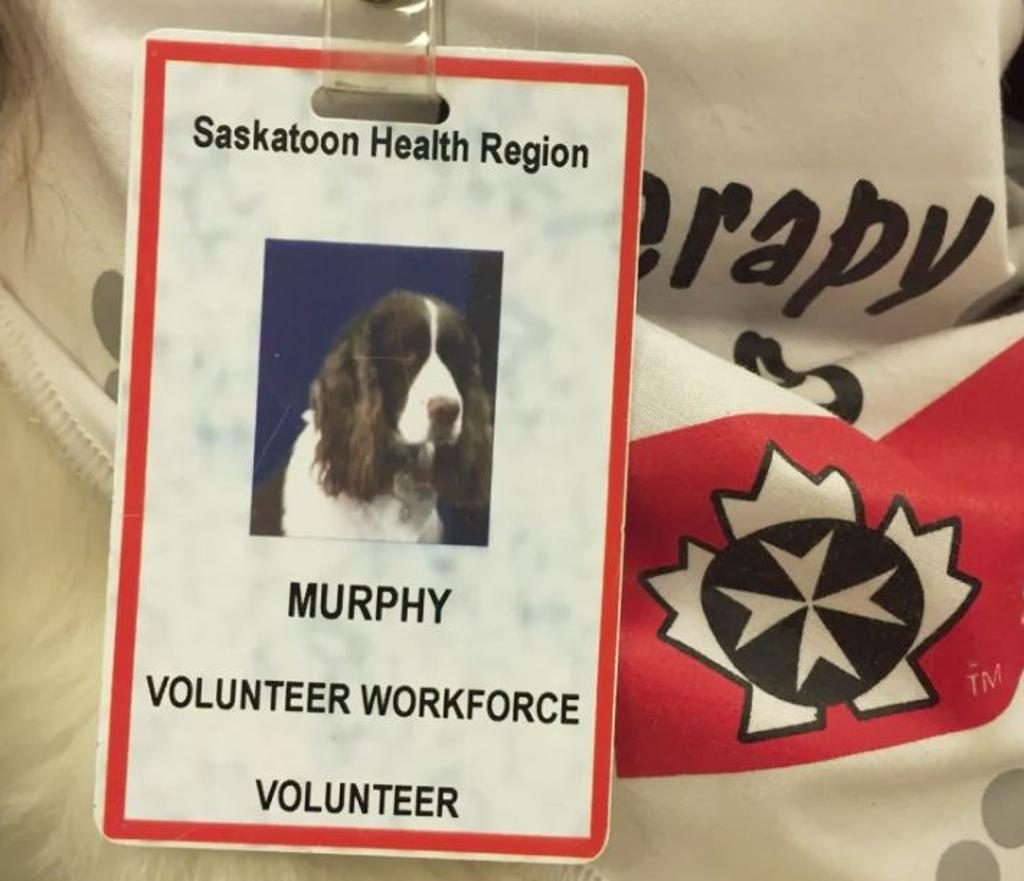 Il cartellino del cane Murphy