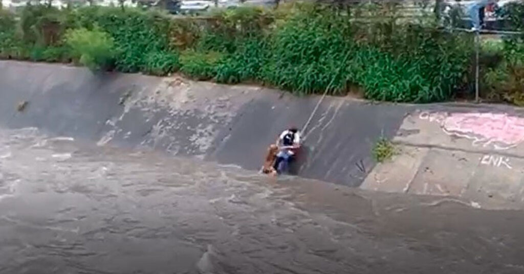 Il video del salvatggio di un cane finito in un torrente