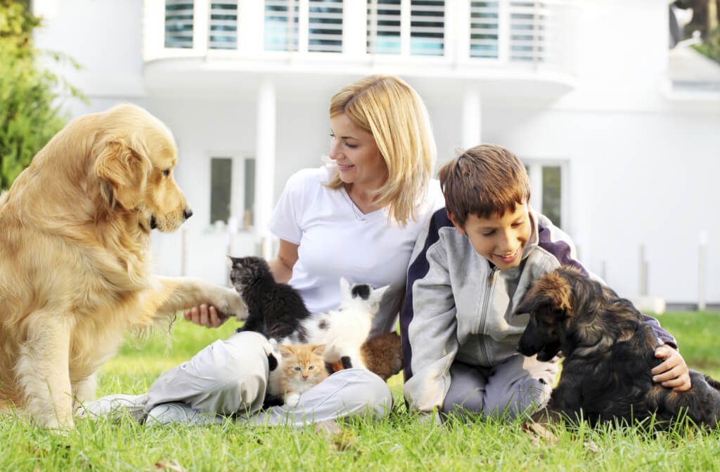 La vita in famiglia dei cani