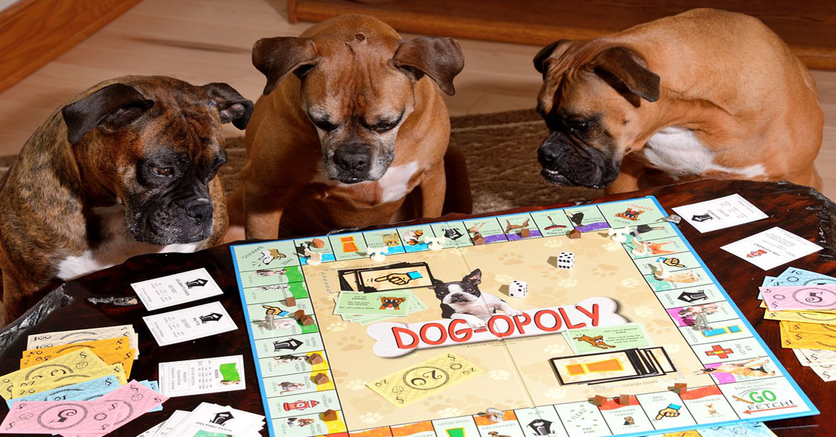 Monopoli sui cani: è arrivato Dogopoly ed ha già conquistato tutti