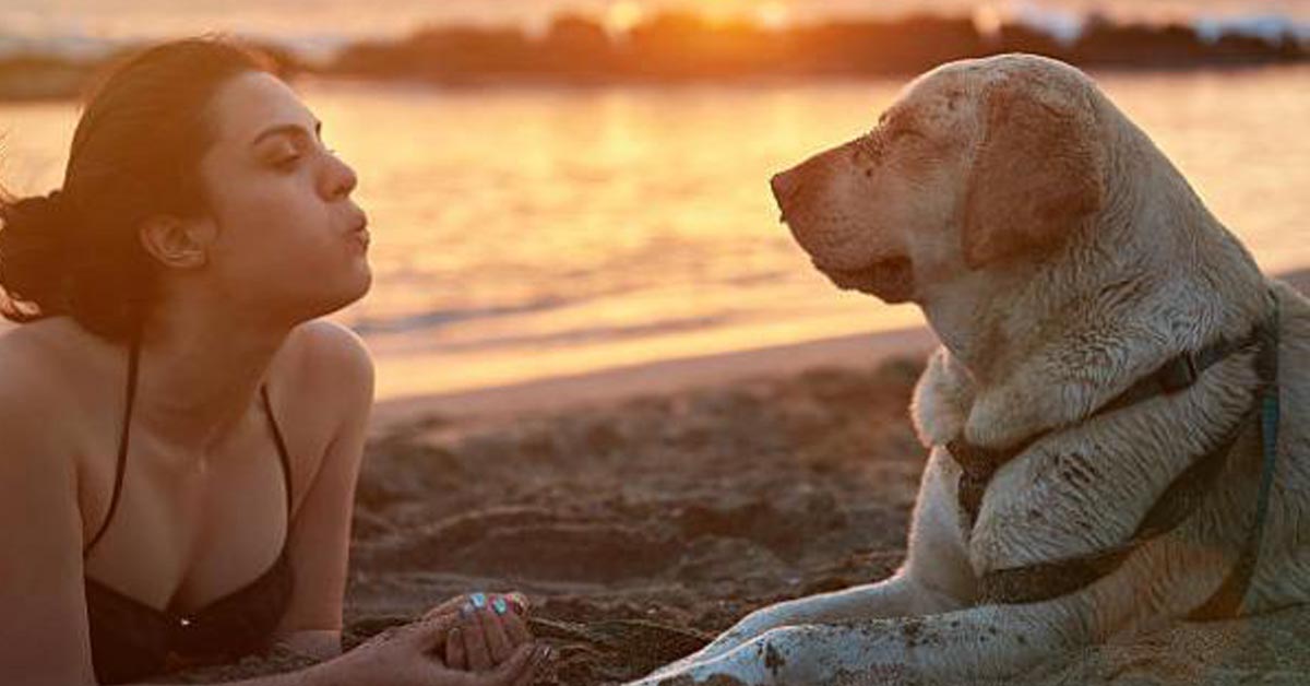 Perchè i cani odiano sentirsi soffiare sul muso