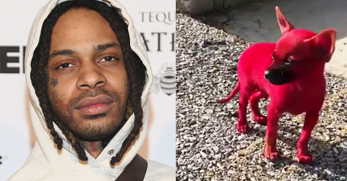 Cane dipinto di rosso: è polemica nei confronti del rapper Valee