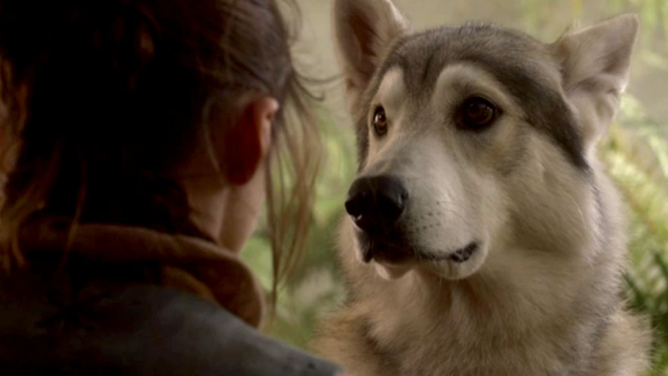 Scena di Game of Thrones in cui è presente un cane
