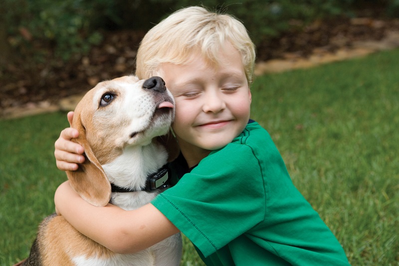 Un bambino abbraccia un cane