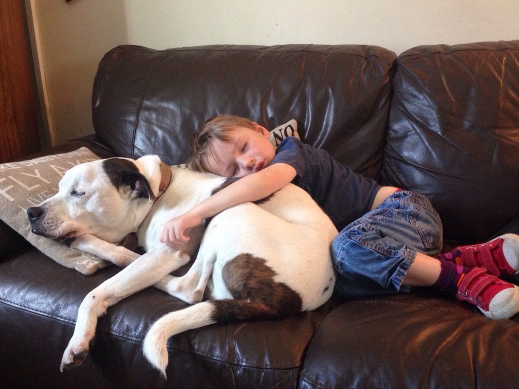 Un bambino che dorme con un cane