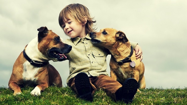 Un bambino insieme a due cani