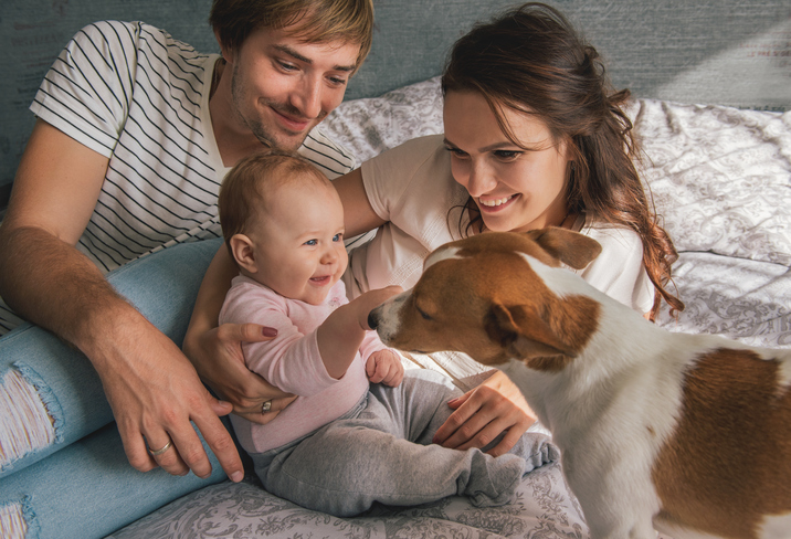 Un-cane-che-conosce-il-nuovo-arrivato-in-famiglia