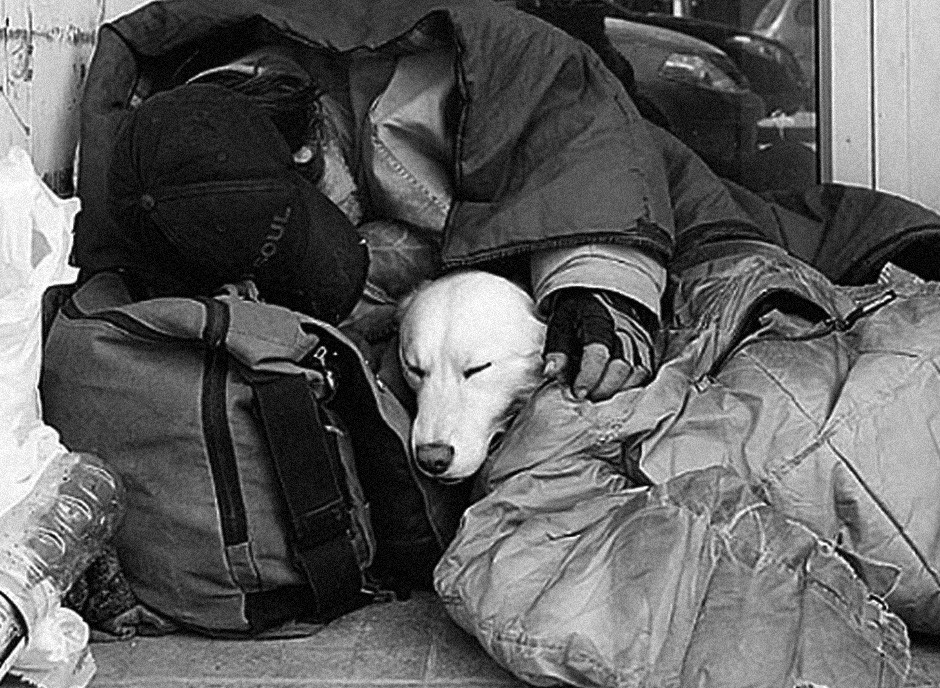 Un cane che dorme per strada con il suo padrone