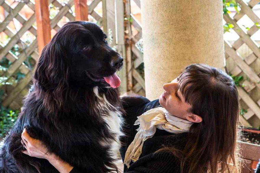 Un cane felice con una ragazza