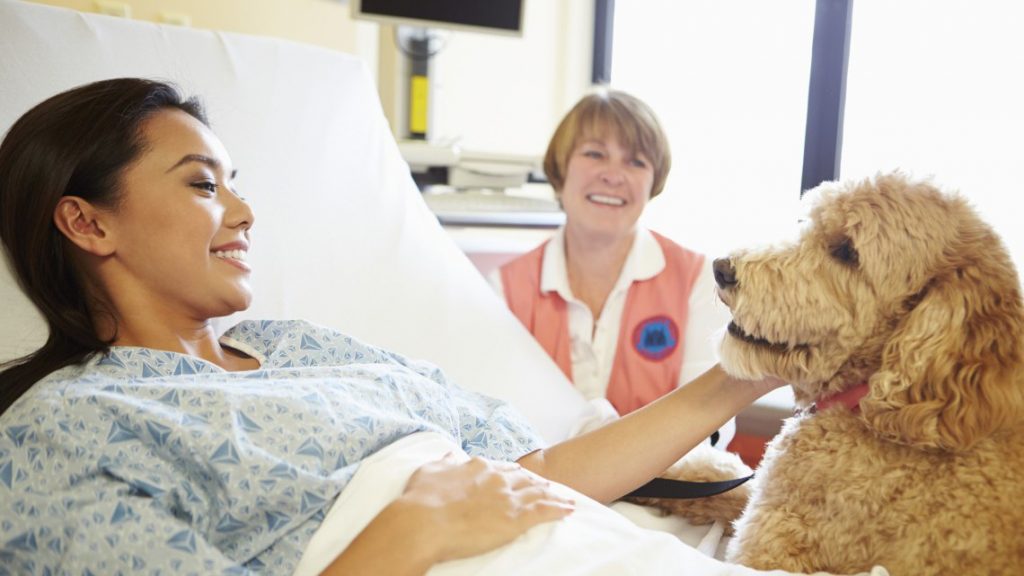 Un cane in ospedale con una paziente