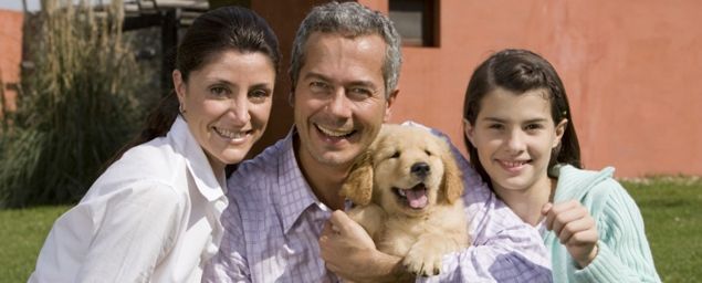 Un cucciolo di cane in famiglia