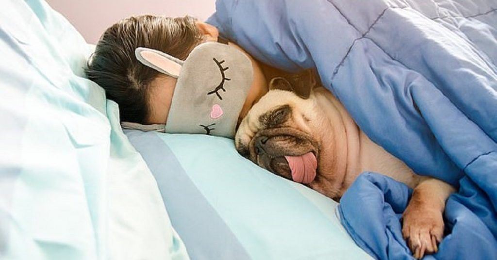 Un ragazza che dorme con un cane Carlino