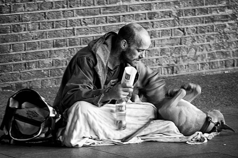 Un senzatetto insieme al suo cane