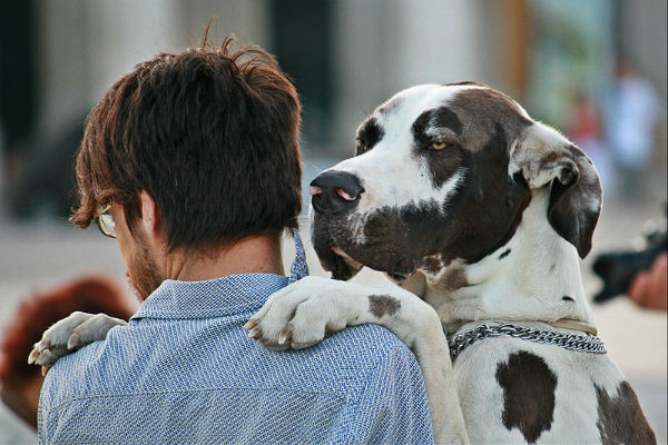 cane e uomo